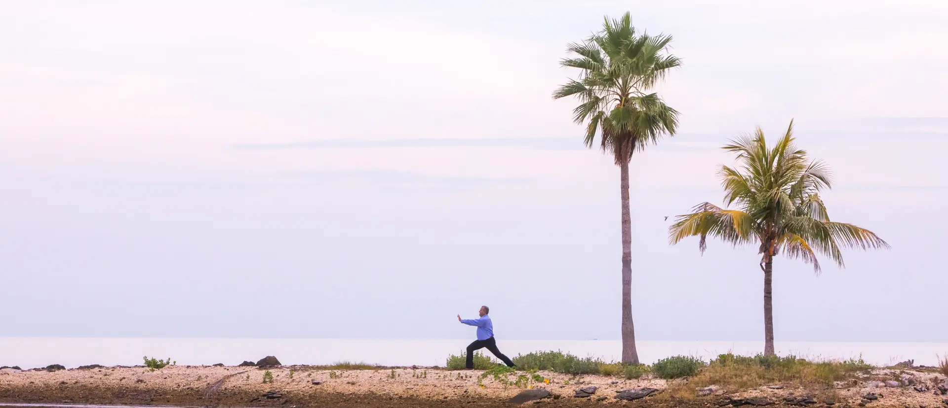 Una orilla con dos palmeras bajo un cielo pálido; a lo lejos, un hombre practica de pie junto al agua